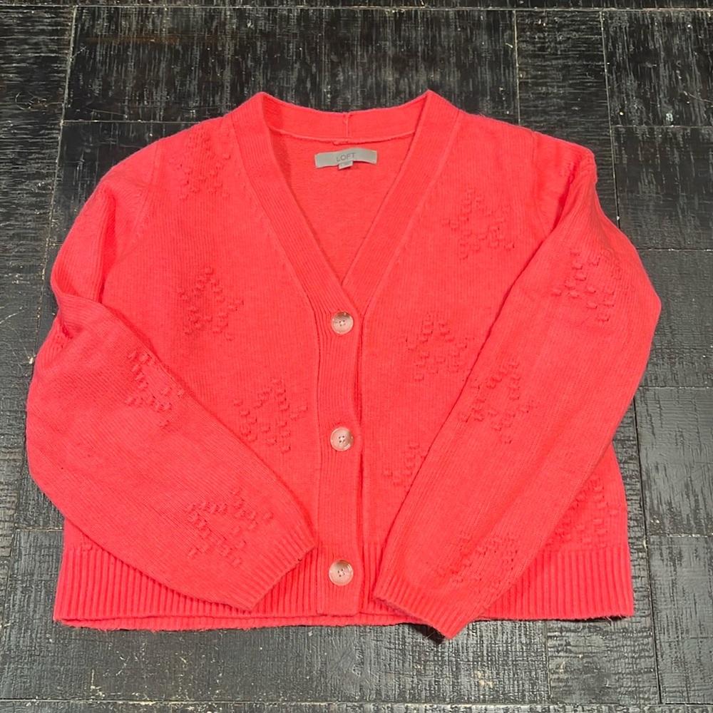 New Loft Cropped Star Sweater